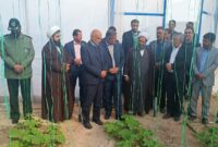 افتتاح گلخانه سبزی و صیفی در شهرستان خاتم / گلخانه ها نمونه ای از موفقیت های شهرستان خاتم