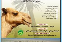 همایش هم اندیشی توسعه اکولوژیک شتر استان یزد