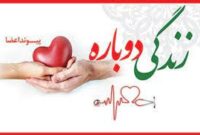 اولین پیوند کبد استان در سال جدید رقم خورد