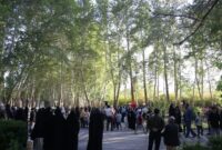 برنامه های متنوع فرهنگی، اجتماعی و ورزشی همزمان با روز مهریز