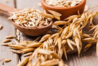 کاشت گیاه تریتیکاله در استان یزد