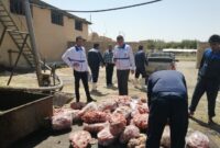 معدوم‌سازی ۴۲ تن لاشه حیوانات در استان یزد/ واکسیناسیون ۱۰۰ درصدی دام سبک نابالغ در استان یزد