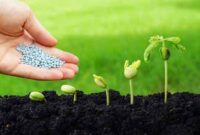 تأمین و توزیع بیش از ۹ هزار تن انواع کودهای یارانه‌ای