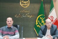 فراوانی گوشت مرغ در استان یزد تا پایان ماه مبارک رمضان