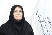 شتاب در مسیر توسعه با سرمایه‌گذاری بخش خصوصی ۵۶ پروژه استان در صف مشارکت عمومی  خصوصی