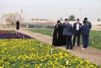 خودکفایی گلخانه شهرداری یزد در تولید انواع گل‌های فصلی و دائمی
