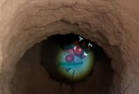 نجات مرد ۳۵ ساله از داخل چاه توسط آتش‌نشانان