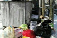 نصب مخازن زباله در معابر، معضل بزرگ کلانشهرها/ شهروندان، محیط شهری را به مثابه خانه خود بدانند