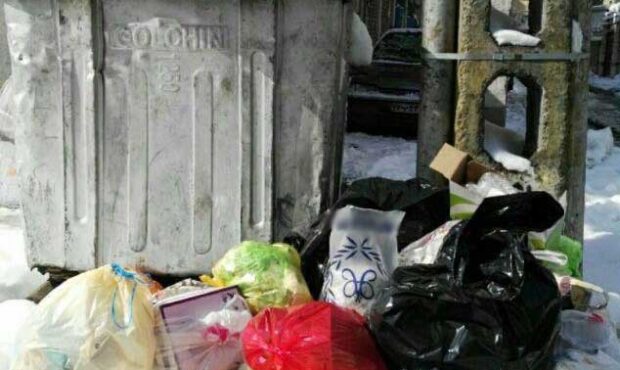 نصب مخازن زباله در معابر، معضل بزرگ کلانشهرها/ شهروندان، محیط شهری را به مثابه خانه خود بدانند