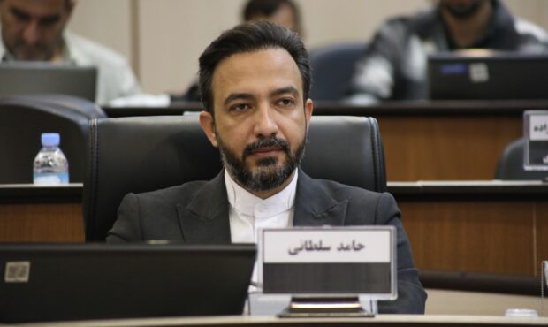حامد سلطانی به سمت سرپرست سازمان سرمایهگذاری و مشارکتهای مردمی منصوب شد حامد سلطانی به سمت سرپرست سازمان سرمایهگذاری و مشارکتهای مردمی منصوب شد
